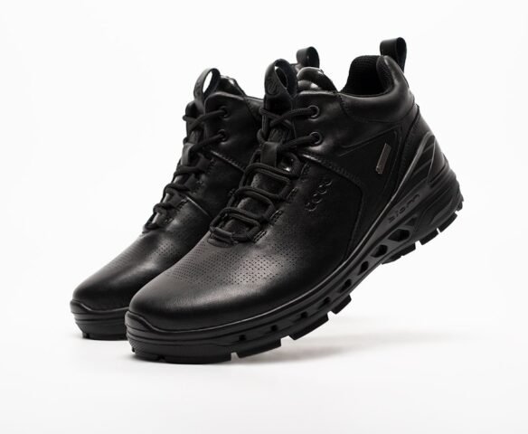 Зимние Ecco WE1